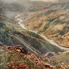 Postcard ID Hells Canyon of the Snake River Separating Oregon & Idaho 1943-1962 picture