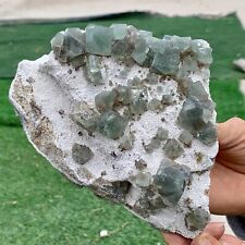 2.46LB Rare transparent blue-green cubic fluorite mineral crystal sample picture