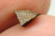 Nwa 7976 Enstatite Eh6 Chondrite Meteorite G198-0111 Coa Rare Part Slice picture