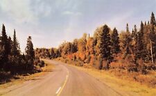 Scenic Country Road Highway - Forest Pine Trees - Postcard picture