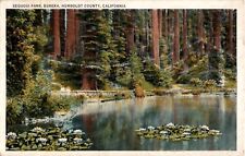 SEQUOIA PARK, EUREKA, HUMBOLDT COUNTY, CALIFORNIA Vintage Postcard picture
