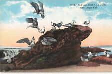 San Diego CA California, Sea Gulls Rocks La Jolla, Vintage Postcard picture