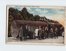 Postcard Spruce Log at Palmer Park Detroit Michigan USA picture