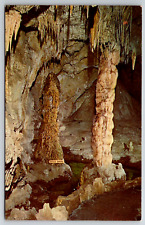 c1960s Devil's Spring Carlsbad Caverns New Mexico Vintage Postcard picture