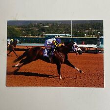 Named Quarter Horse Gelding JESSIES FIRST DOWN Postcard 3.5 x 5 picture