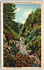 Postcard - Clarendon Gorge, Killington Section, Long Train, Green Mountains, VT picture