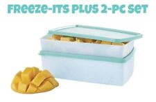 Tupperware Set of 2-Freeze-It Plus Medium Shallow Rectangles-NEW-SHIPPING INCL picture