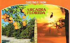Vintage Greetings From Arcadia Florida Postcard New  picture