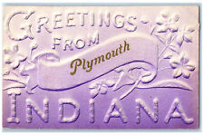 c1910 Greetings from Plymouth Indiana IN Embossed Airbrush Violet Postcard picture