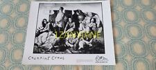 RC1898 Band 8x10 Press Photo PROMO MEDIA, COUNTING CROWS, GEFFEN RECORDS picture