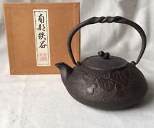 Nambu Tekki Nanbu Kaitomi Teapot Hisago Vintage Iron Kettle Unused Rare Color picture