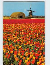 Postcard Holland in flowerdecoration Netherlands picture