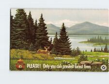 Postcard Please Only you can prevent forest fires, State Forestry Department picture