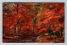 Fredonia NY-New York, Greetings, Autumn Leaves, Vintage c1964 Souvenir Postcard picture