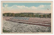 Aster Flag On The Flower Seed Farm Of James Vick's & Sons Postcard 5.5