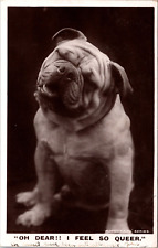 RPPC Postcard-English Bulldog 
