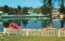 Weeki Wachee FL Florida, Underwater Theater Mermaid Springs, Vintage Postcard picture