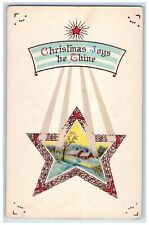 c1910's Christmas Joys Star David House Winter Unposted Antique Postcard picture