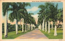 Honolulu HI Hawaii, Royal Palms Punahou Grounds, Vintage Postcard picture