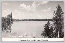 Land O' Lakes Wisconsin Greetings Wilderness Waters VTG RPPC Real Photo Postcard picture