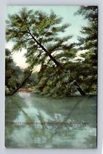 Geneva OH-Ohio, Scene Near Chestnut Grove, Antique, Vintage Souvenir Postcard picture