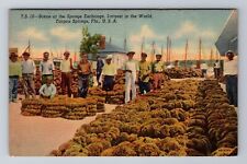 Tarpon Springs FL-Florida, Scene at Sponge Exchange, Antique Vintage Postcard picture