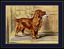 English Print Golden Cocker Spaniel Puppy Dog Dogs Vintage Art Picture Poster picture