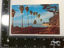 Channel Drive Santa Barbara California CA Postcard  picture