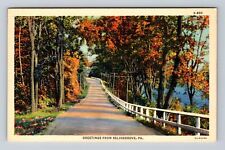 Selinsgrove PA-Pennsylvania, Scenic General Greetings, Antique Vintage Postcard picture