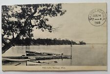 Newaygo MI Michigan Hess Lake Scene Vintage 1908 Postcard L4 picture