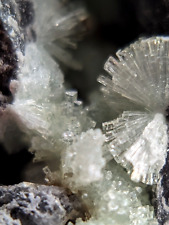 Amazing Wavellite -Old Stock - Mauldin Mountain, Arkansas, Top Crystallization  picture