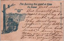 VTG I'm Having Too Good a Time To Leave Postcard Posted 1907 Undivided Back picture