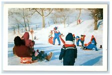 c1930's Winter Fun Delaware Park Kids Playing Buffalo New York NY Postcard picture