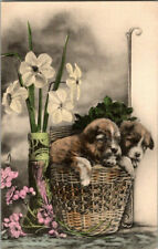 Antique Dog Postcard Two Cute Puppies in a Basket - Stunning Hand Colored Tinted picture