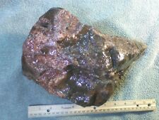 Premium Oregon's Maury Mountain Moss Agate Lapidary Rough- Over 14 lbs.  picture