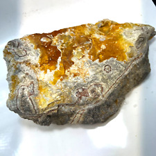 LARGE Summerville Crazy Lace Agate Rough Raw Banded Botryoidal Colorful picture