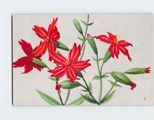 Postcard Beautiful Fire Pink Flowers picture