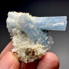 Twin Aquamarine Crystal On Aquamarinr Cluster Specimen Shigar Area Pakistan 27 g picture