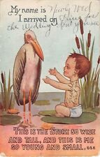 1917 Birth Announcement PC-Baby on Lily Pad by Cattails Reaching For Stork picture