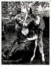 LD331 1968 Original UPI Photo FIONA LEWIS & EDGEWORTH BESS HORSE DUBLIN IRELAND picture