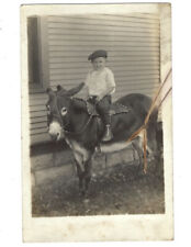 c.1900s Cute Young Boy Riding Mule Real Photo RPPC Postcard UNPOSTED picture