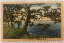 Raystown Branch, Huntingdon PA, Antique Tichnor Postcard, Lake Trees picture