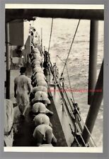 POSTCARD Print / Sailors in shorts / Equator Neptune Crossing  picture