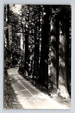 RPPC Road Through Giant Redwood Highway CA Postcard picture