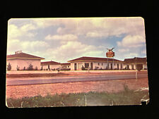 Vintage SWEETWATER, TX  LONG HORN MOTOR LODGE c1950 Postcard picture