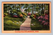 Sugarcreek OH-Ohio, General Greetings, Country Lane, Antique Vintage Postcard picture