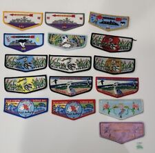 Lot Of 16 Boy Scout BSA Patches Blue Heron Lodge WWW 349  picture