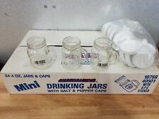 Lot 24 Small Mason Jar Salt & Pepper Shakers “Harvest Time” Minis W Handles-Lids picture