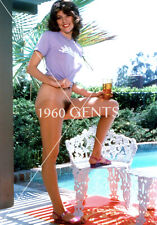 1960s Photo Print Big Breasts Brunette Playboy Playmate Barbi Benton BB24 picture