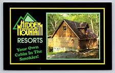 Hidden Mountain Resorts Sevierville Tennessee TN Vintage Advertising Postcard picture